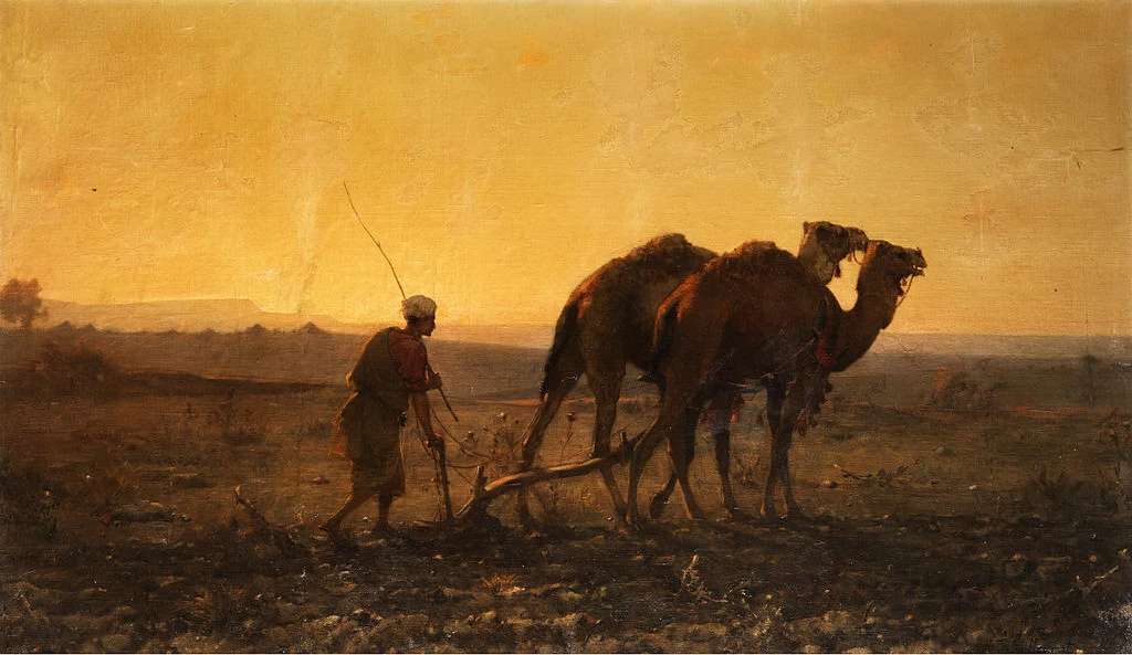 Aratura araba con dromedari in un paesaggio serale. - Musée d'Art et d'Indsutrie de Roubaix